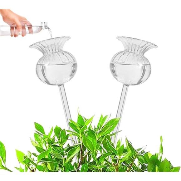 Plant Waterer Self Watering Globes Self Watering Spikes, Hand Blown Clear Glass - Picture 1 of 7